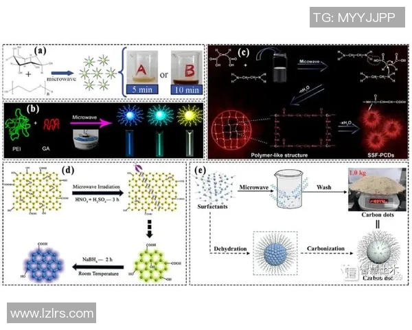 杭州飞盘队运营策略深度解析与发展前景展望